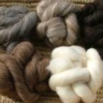 Natural Combed Tops - Sample Pack